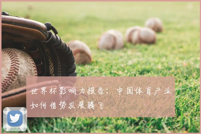 世界杯影响力报告：中国体育产业如何借势发展腾飞
