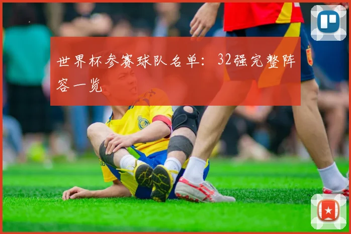 世界杯参赛球队名单:32强完整阵容一览